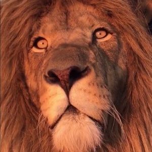 Meet your Posher, Calvin